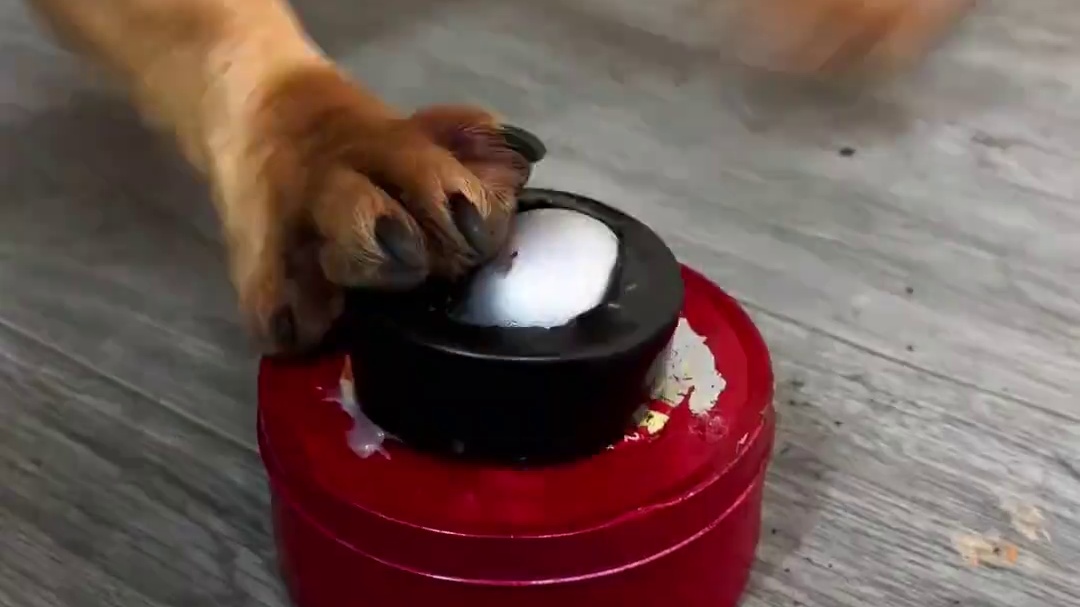 ToRung搞笑 小哥把鸡吃光了
#搞笑#解压#看一遍笑一遍