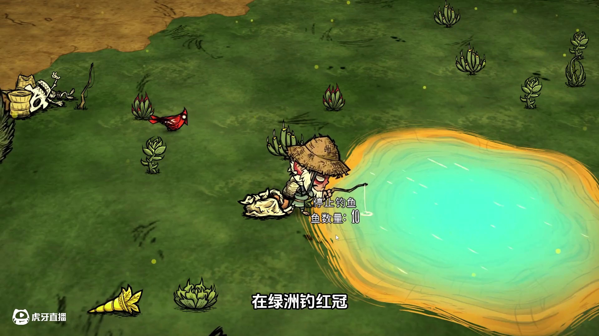 饥荒联机神话书说：击败远古织影者炼制黄金锁子甲 #饥荒