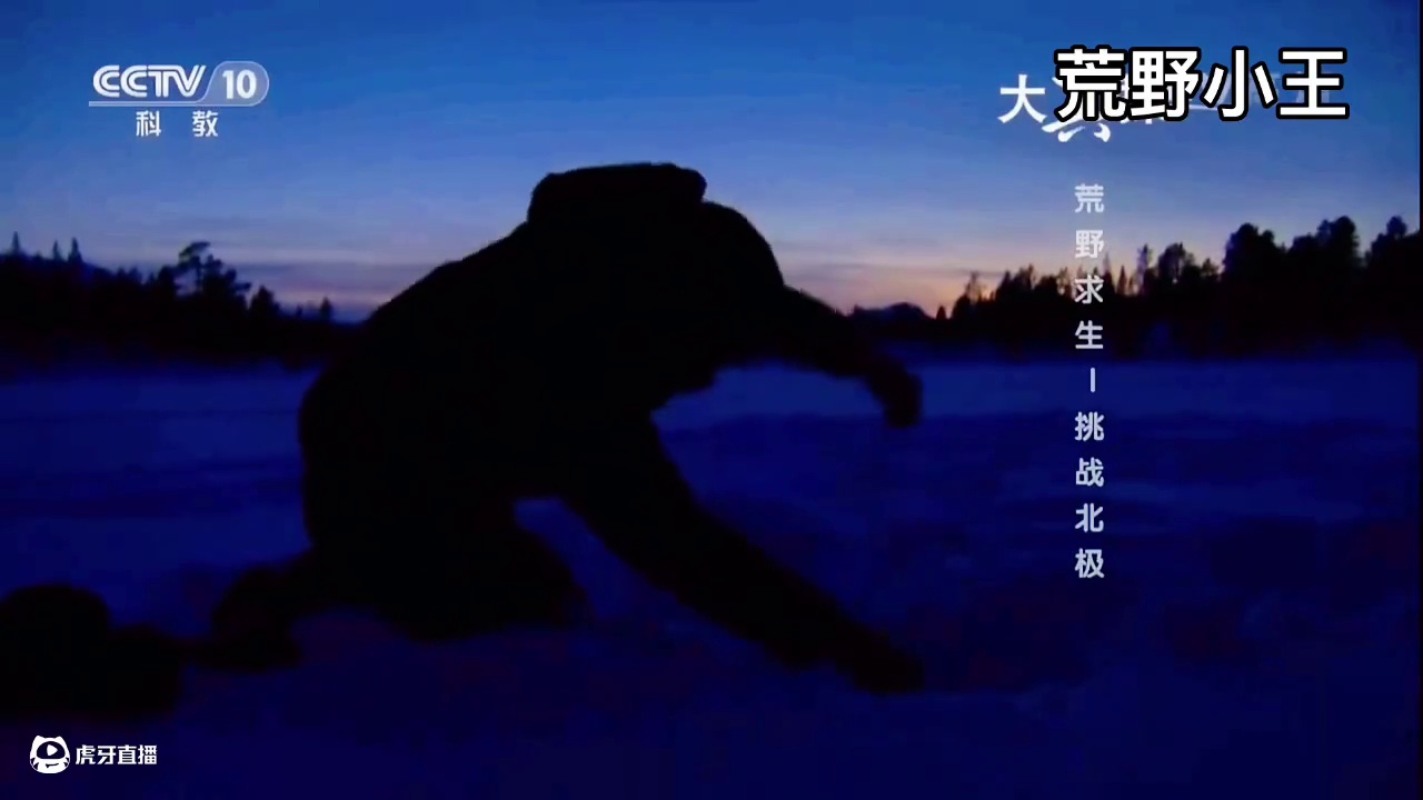 贝爷荒野求生之《挑战北极》⑶#纪录片 #荒野求生 #野外生存 #贝爷 #上热门