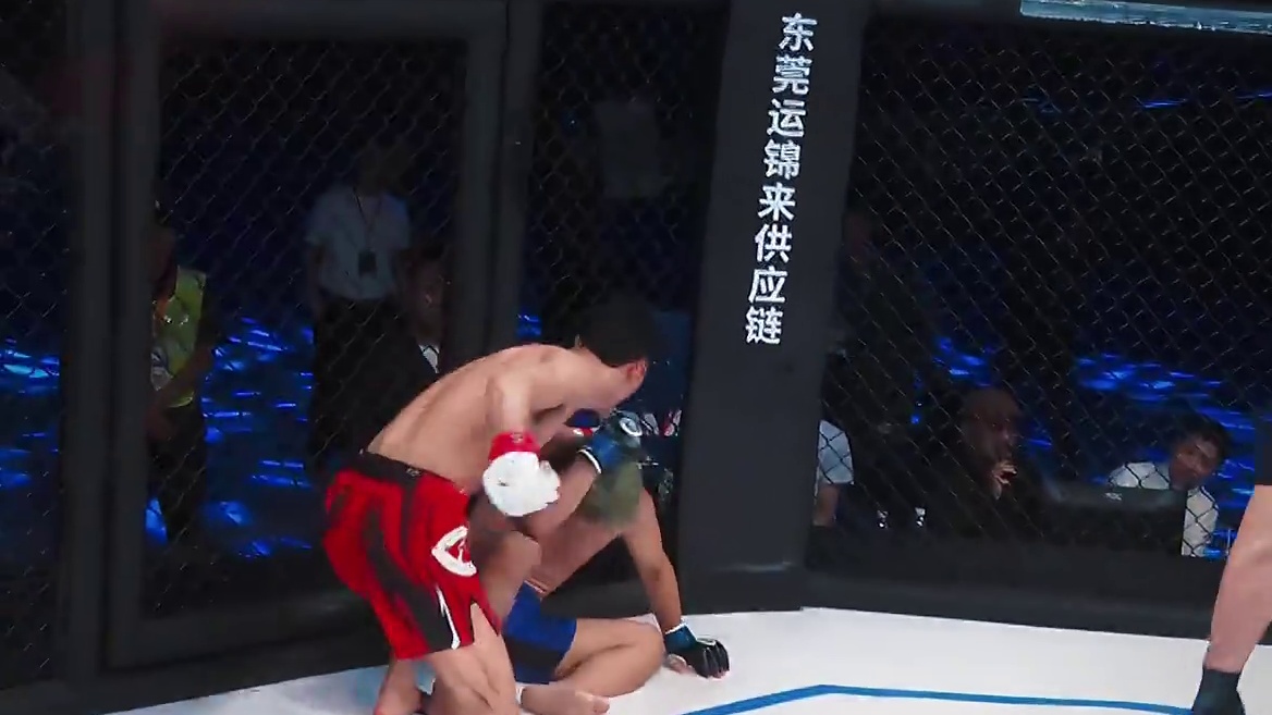 龙三格斗环球拳王巡回赛混剪