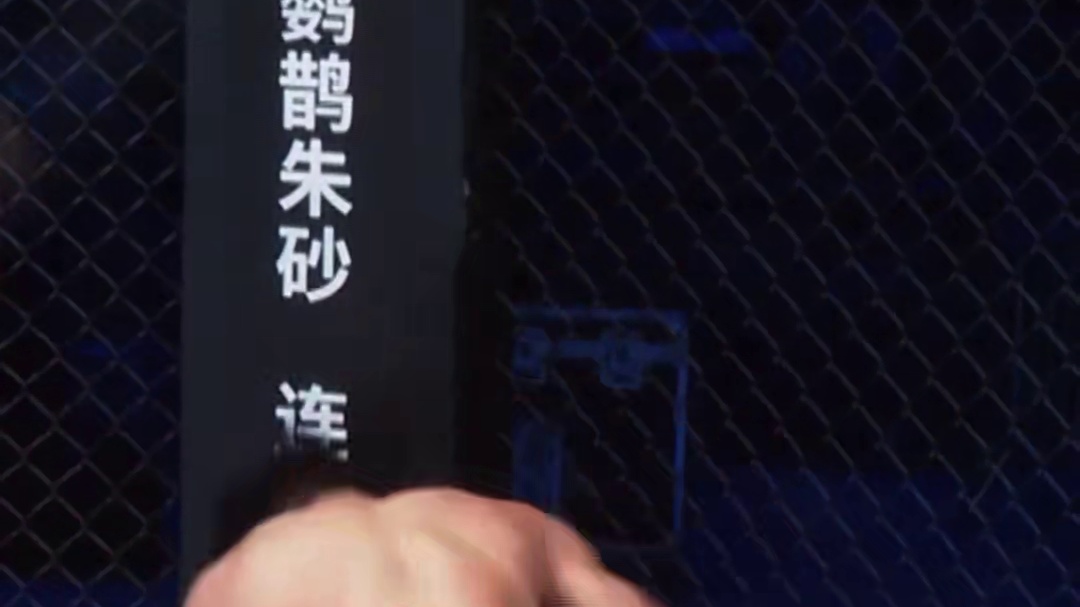 龙三格斗环球拳王巡回赛混剪