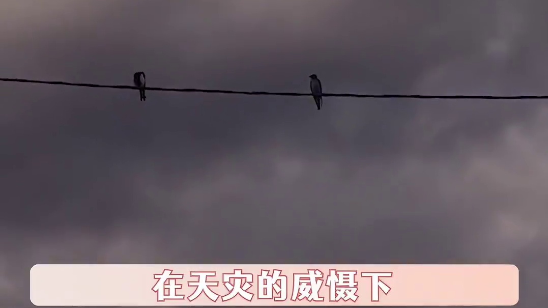 在极端天气下人真的很渺小#贵州黔西  #黔西游船侧翻已打捞搜救50余人 #翻船事故最后一名失联人员被