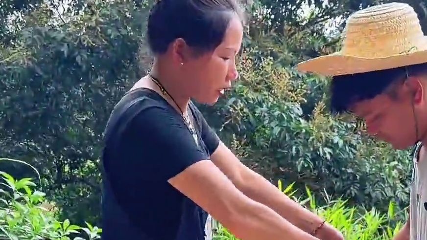 山村厨神小当家 看起来像小鸡一样的鹌鹑 居然是一道美食佳肴 #乡村美食 #新农人计划 #农村生活 #