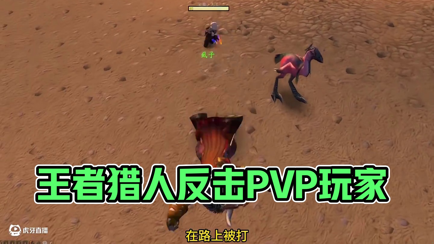 面对所谓PVP玩家的长期压迫 猎人虱子终究是忍无可忍 大兴王者之师 #魔兽世界怀旧服