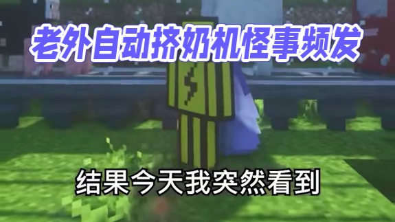 这老外是不是骂我了... #我的世界 #整活 #游戏日常