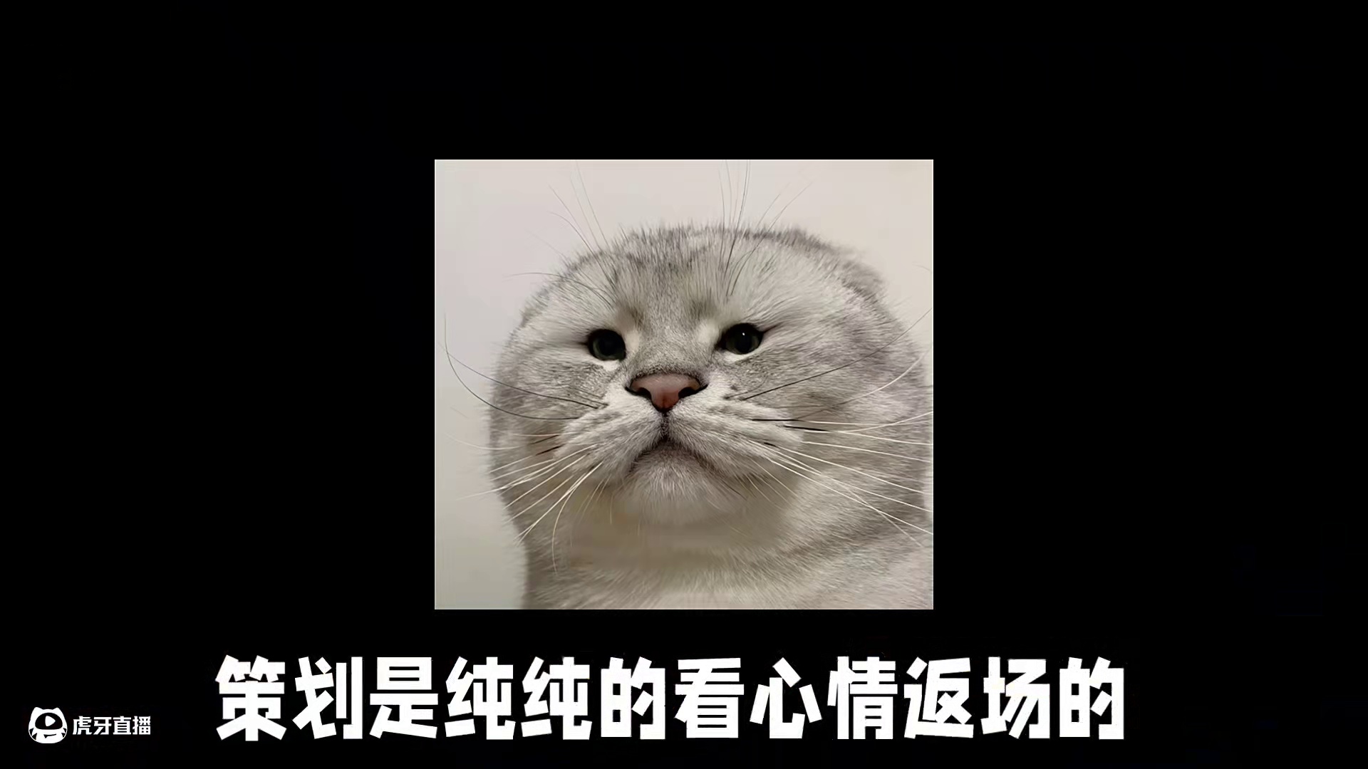 许愿宝库即将返场，周年庆忍者碎片，大波金币活动。大家金币还hold住吗？#火影忍者手游 #火影忍者 