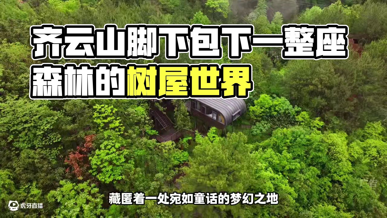 齐云山脚下包下一整座森林的树屋世界 #自由家树屋 #自由家树屋世界 #亲子游玩好去处 #自由家营地 