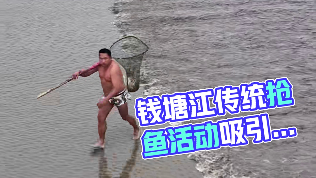 杭州钱塘区非遗项目“抢潮头鱼”，曾是钱塘江一带居民的传统习俗：抢潮头鱼的人扛着潮兜在潮前奔跑，看到有