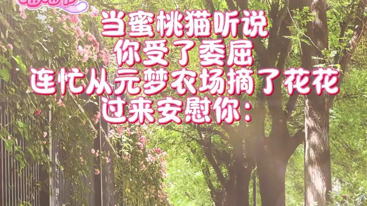 蜜桃猫：人，别难过了，我来看你啦~#元梦之星 #元梦之星超能学园赛季 #元梦之星×蜜桃猫正版联动 #