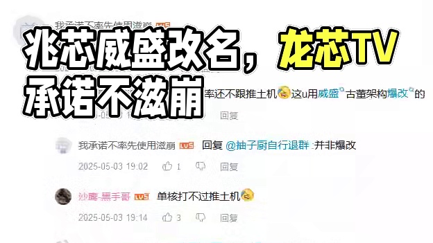 【龙芯TV】我承诺不率先使用滋崩：兆芯是威盛改名