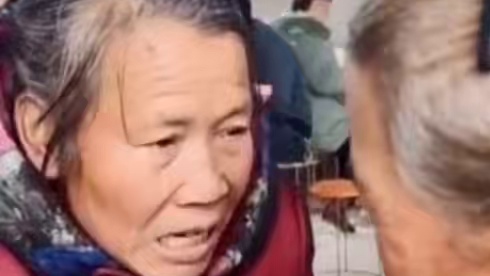 罐罐：讨厌一些没有边界感的同事...#狐狸 #搞笑 #云南野生动物园 #娱乐评论大赏#动物的迷惑行为