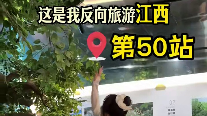 想向你介绍江西的石城！妈呀太好吃啦！ #石城旅游 #反向旅游之江西 #石城美食 #赣州旅游