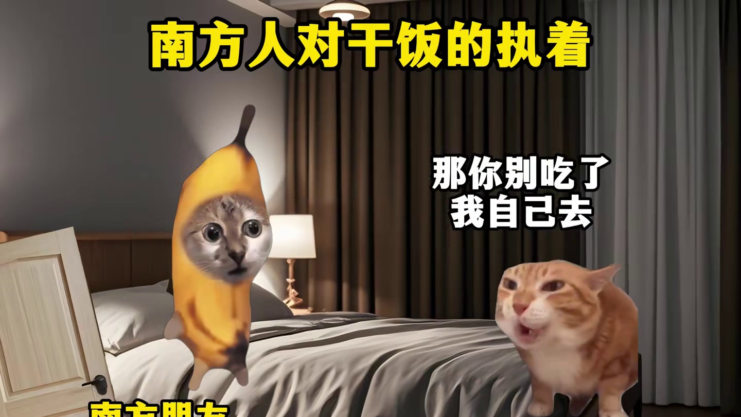 南方人对干饭的执着 #猫meme #南北方人的差异 #干饭 #内容太过真实