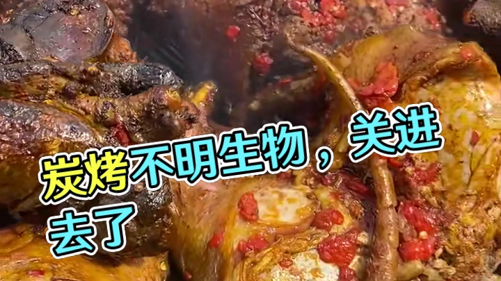 炭烤不明生物 #乡村美食 #分享家乡美食 #农村户外美食 #新鲜出炉 #非洲生活