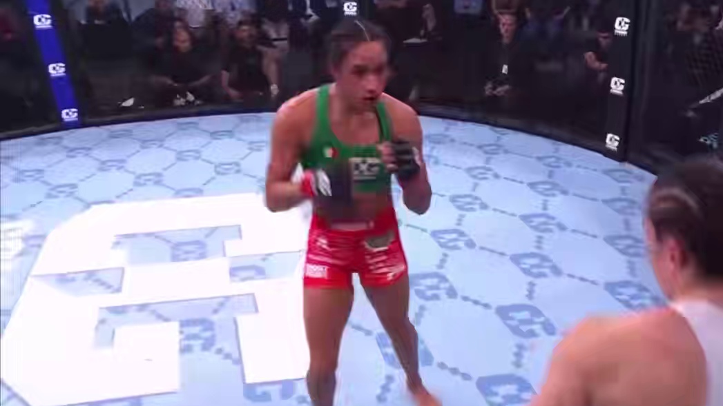 综合格斗新流派来袭-4/7#格斗训练 #格斗教学 #格斗技巧 