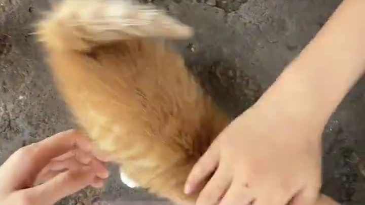 成都人在乐山白天逛吃逛喝晚上微醺一刻#vlog日常 #乐山美食 #让每一天都值得相思 #OB酒搭子#