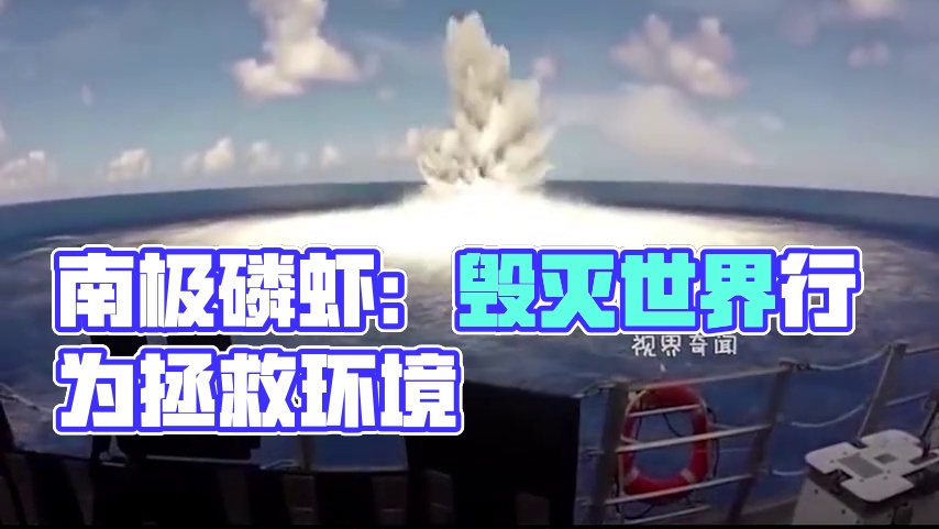 来自南极海域土生土长的南极磷虾干，这小小的东西可不简单！#南极磷虾