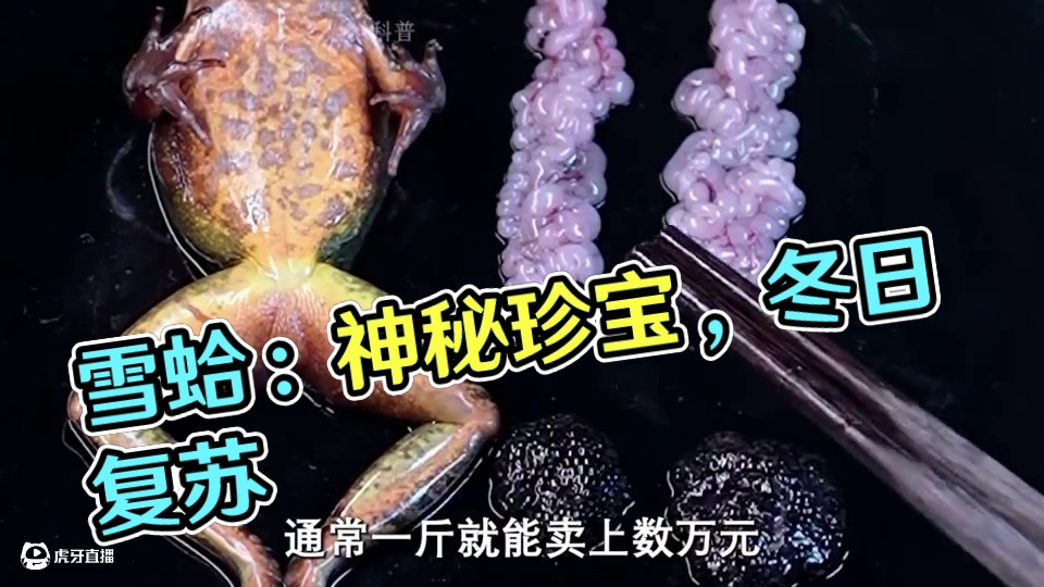 你可能没见过它，但一定从小听到大！ #雪蛤 #雪蛤珍饮 #好喝不贵 #饮品推荐