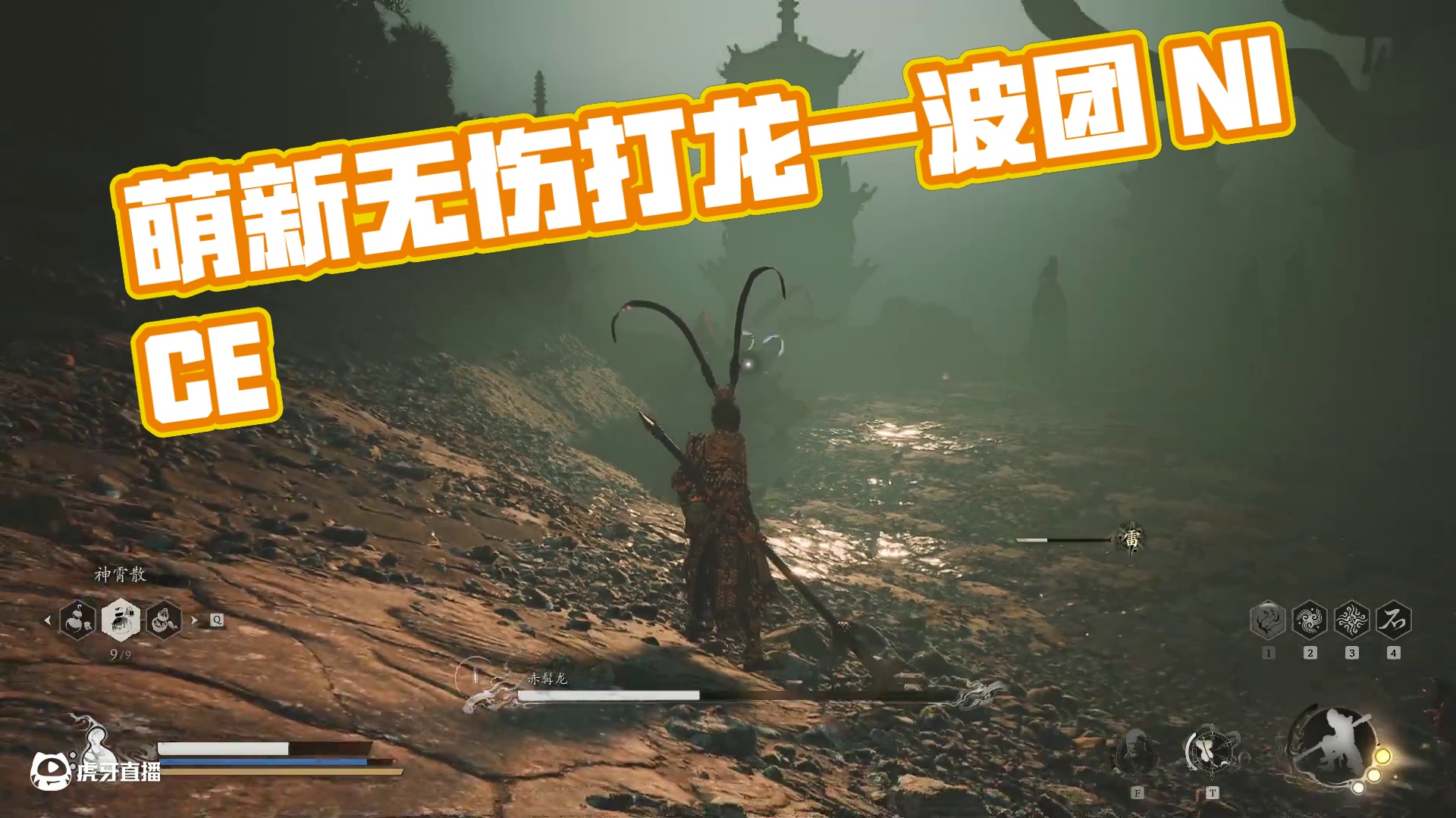 萌新玩游戏二周目第一条龙无伤-片段1