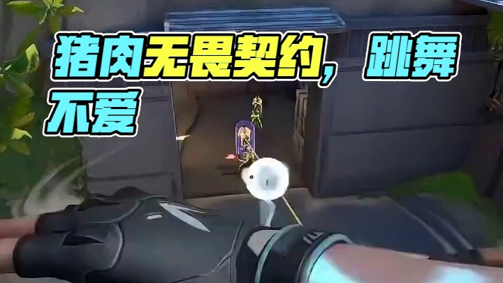 猪肉这一块！无畏契约