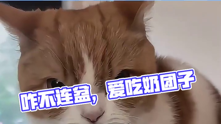 渝爱：你咋不连盆都吃了呢！