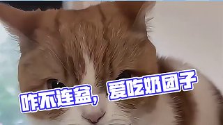 渝愛：你咋不連盆都吃了呢！