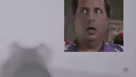 真的是离离原上谱