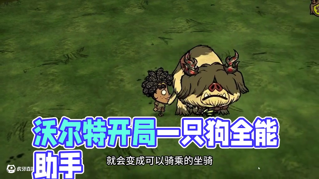 饥荒联机沃尔特：开局一人一只狗所有物资全靠捡 #饥荒