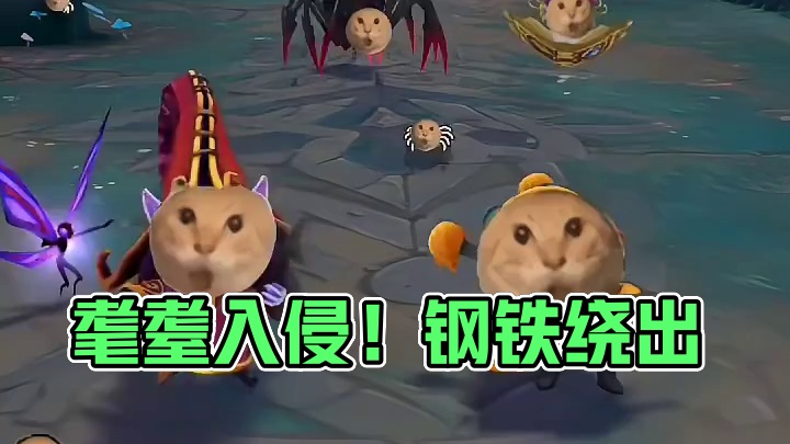当耄耋入侵峡谷！