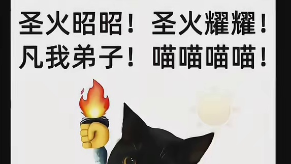 拜见猫猫神大神