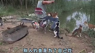從釣魚博主變成了寵物博主