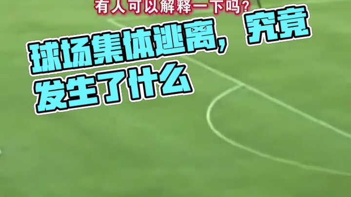 这是发生了什么让所有球场上的人都集体跑离场？#足球