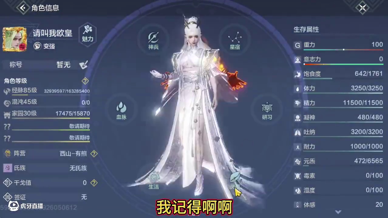 有浑天大锤 1神兽1神侍 多偏转 4300风攻 全7元素 主流武器幻兵