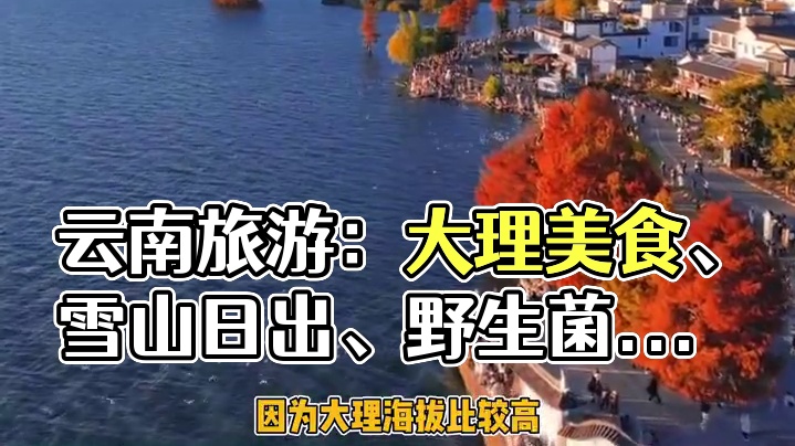 想去云南旅游的理由又+1 #云南#大理#旅游#娱乐评论大赏