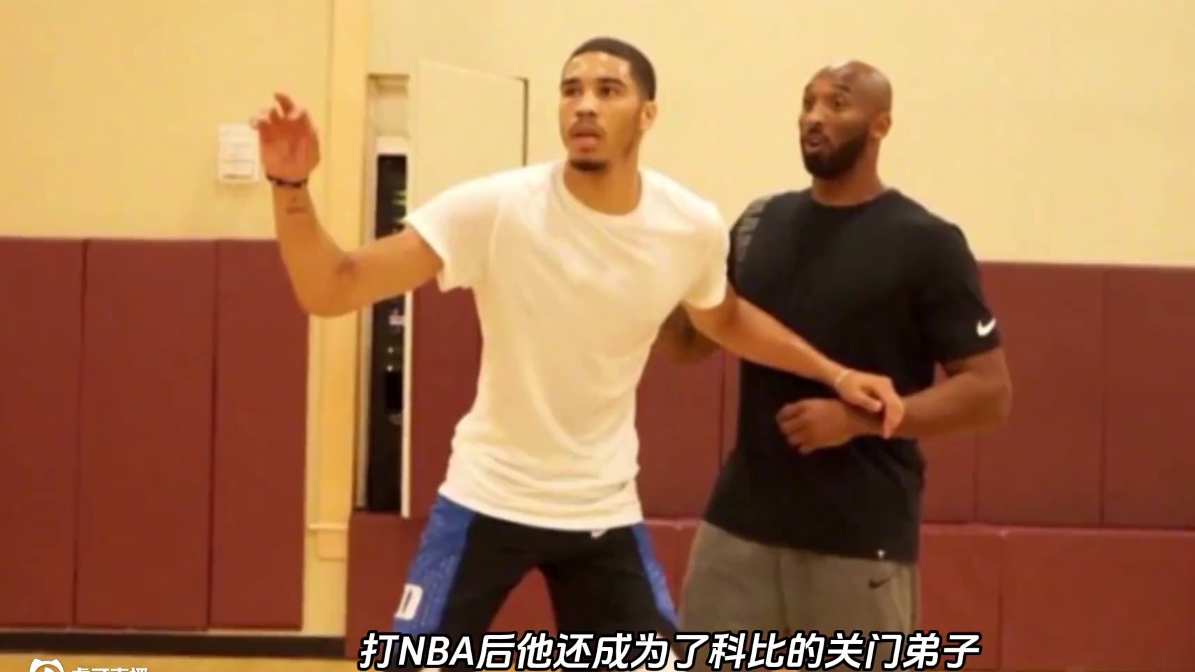 NBA为什么会力捧塔图姆？ NBA为什么会力捧塔图姆？因为塔图姆是NBA最大的关系户？#塔图姆 #n