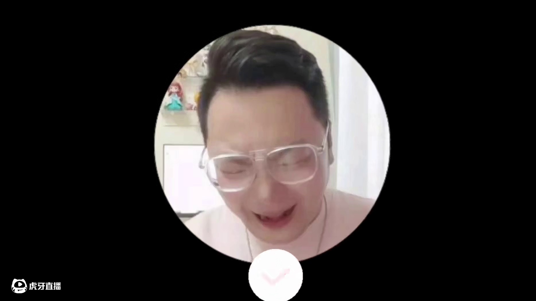 鹦鹉叫懒猫起床，说出了人间真理#陕西方言 #搞笑配音