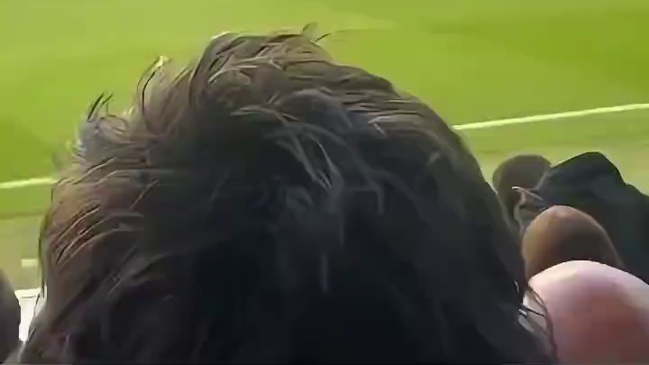 桃花影落飞神剑，似是而非故人来