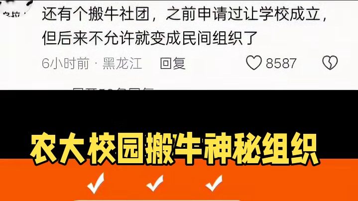 四川农业大学神秘的搬牛组织