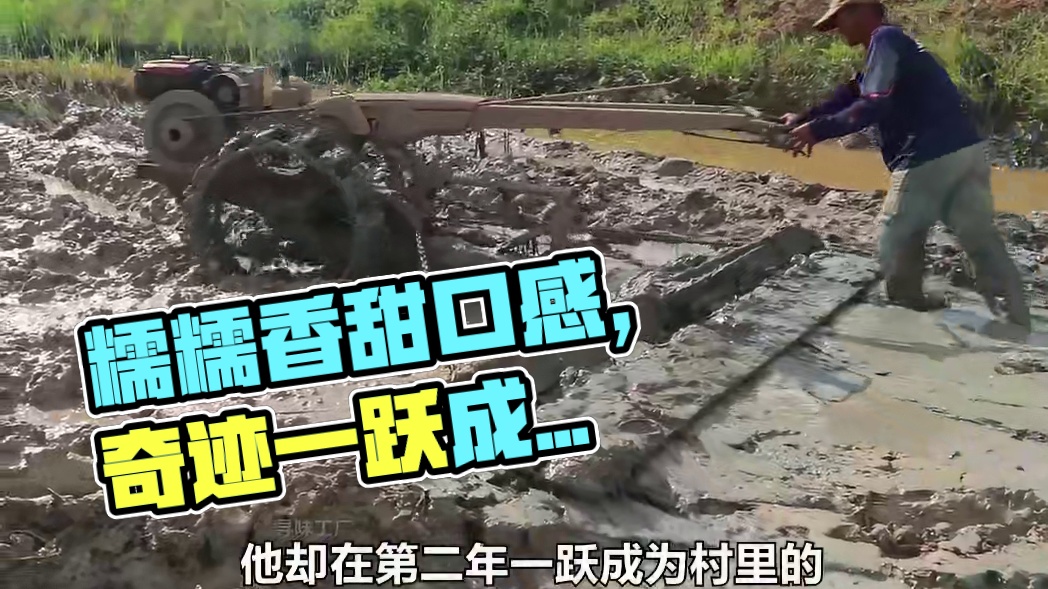 谁能拒绝这种糯叽叽哏啾啾的口感一口下去软糯香甜 #榴莲 #榴莲爱好者 #粽子