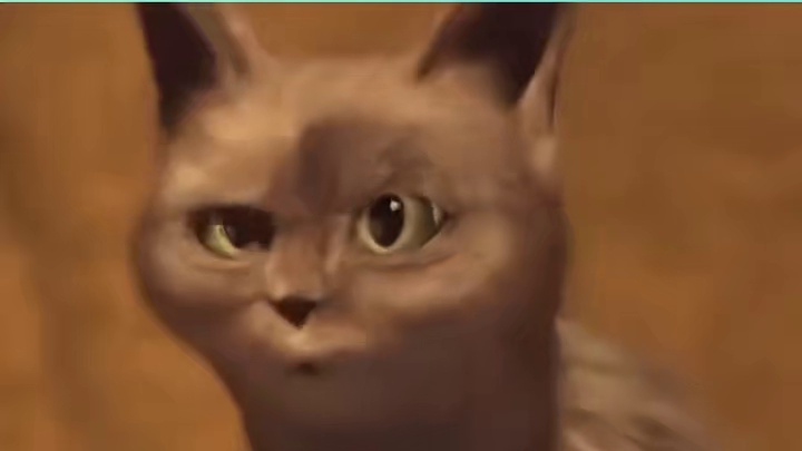 自带杀气的眼神