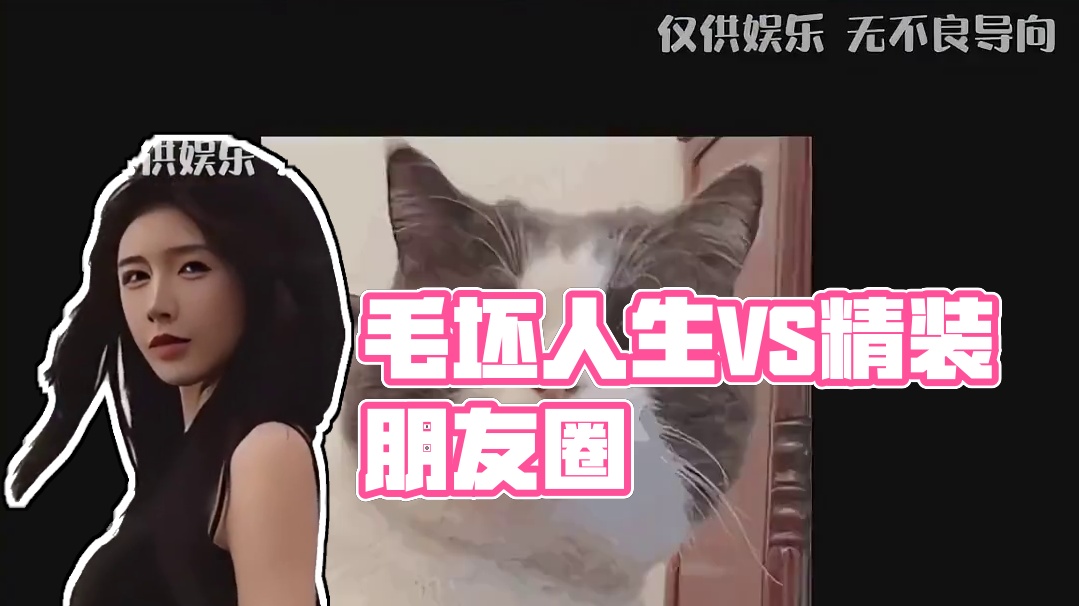 毛坯的人生vs精装的朋友圈