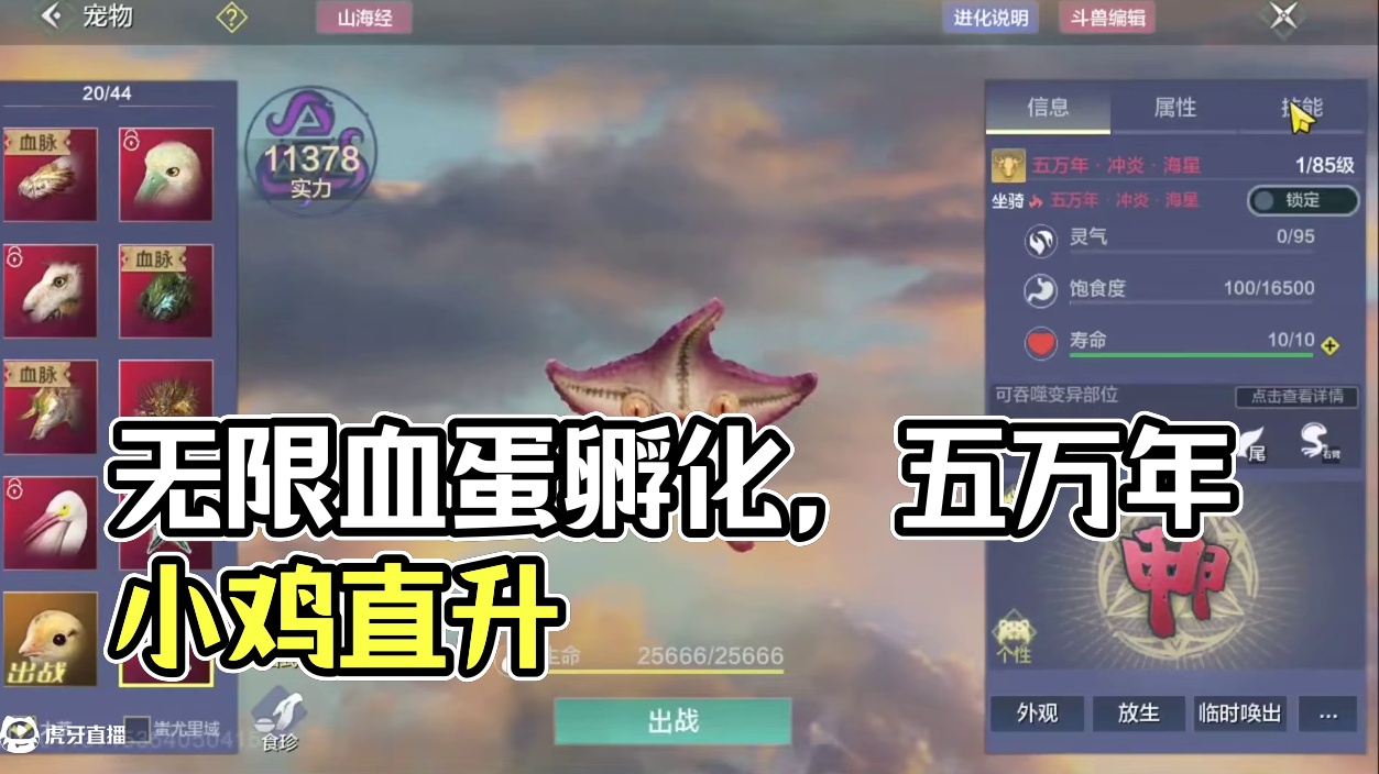 又又又孵化无限血蛋 我就不信还能次次哭了？ 还有万年小鸡直升 五万年