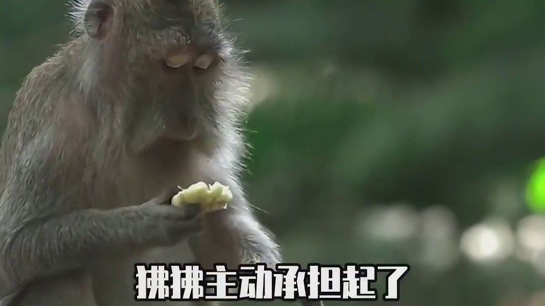 果然能干活，就会有干不完的活