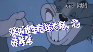 猞猁：是我啊