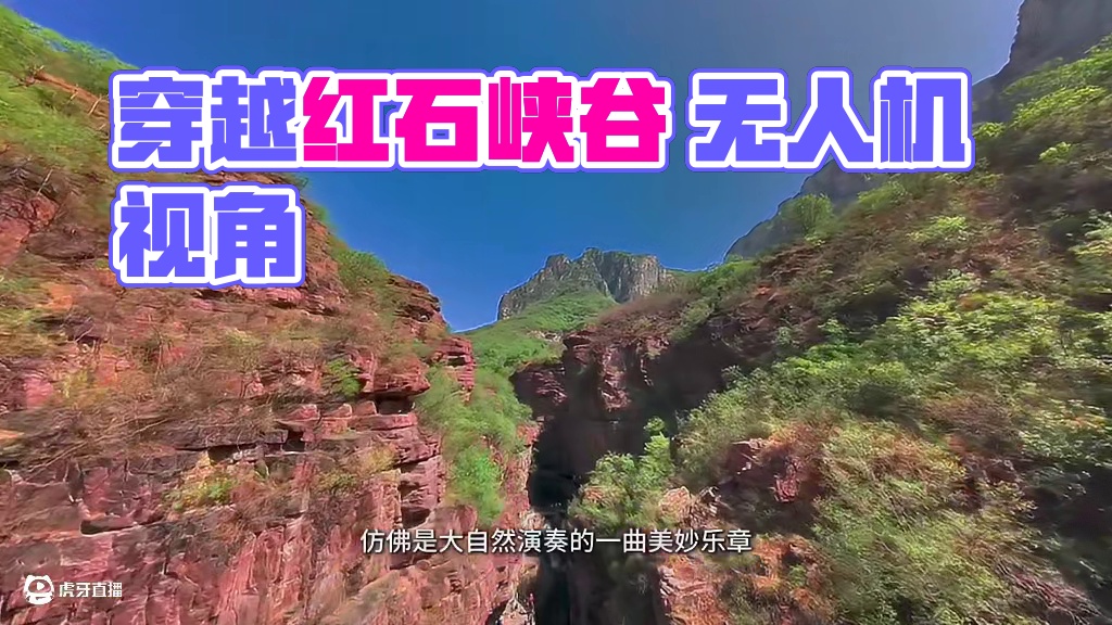 云台山最美景区——红石峡 用无人机的视角穿越峡谷，感受大自然的鬼斧神工#云台山