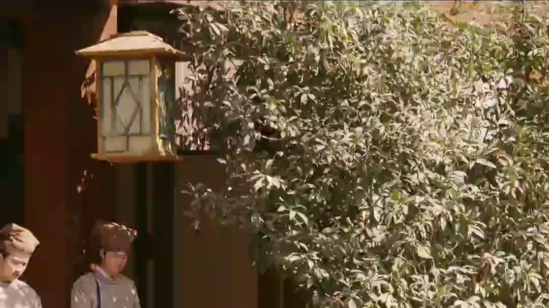 就算你是我的劫，我也只好把你拿下了！  #热播剧  #因为一个片段看了整部剧 