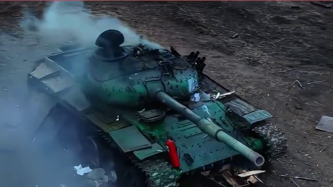 老虎能扛几发子弹 #老虎 #子弹 #动物