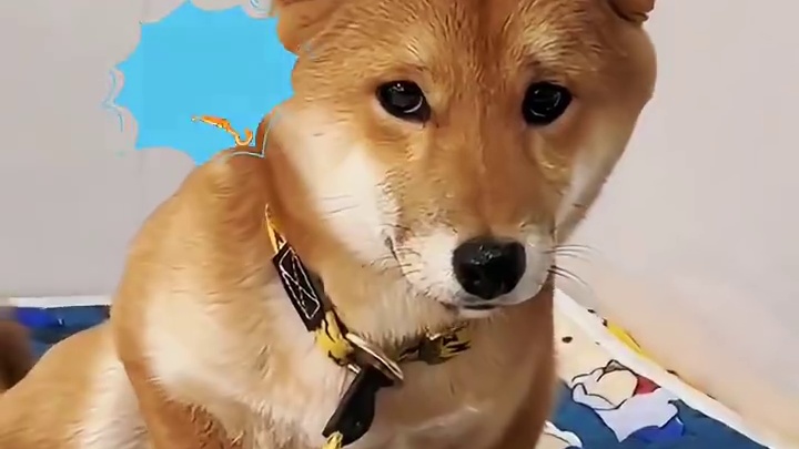 事出反常必有妖