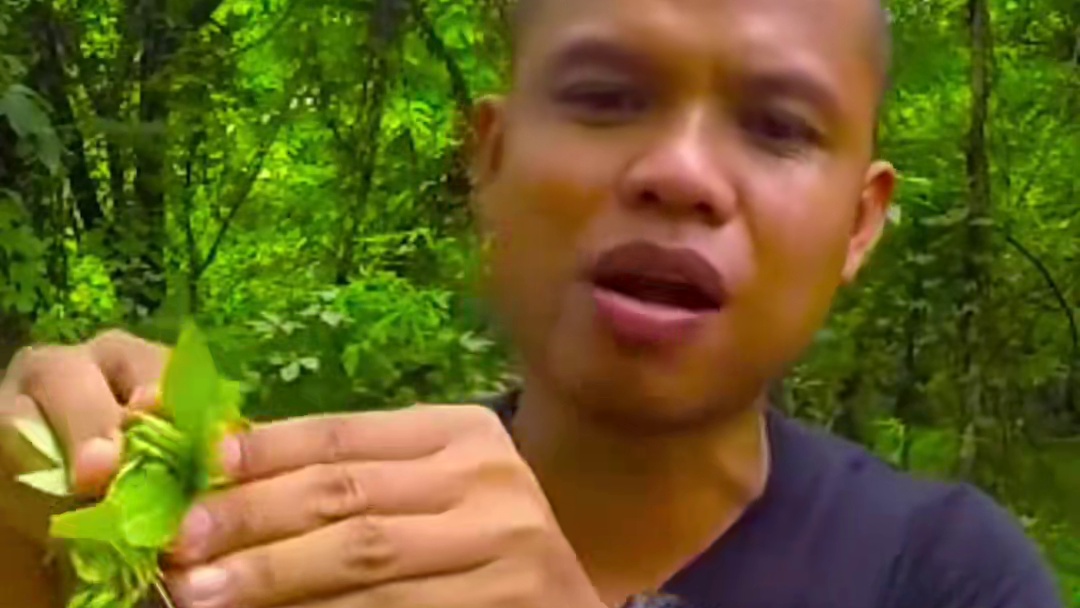 酸辣️芒果丝新鲜大肥螺 #美食 #泰国美食 #户外美食 #内容启发搜索