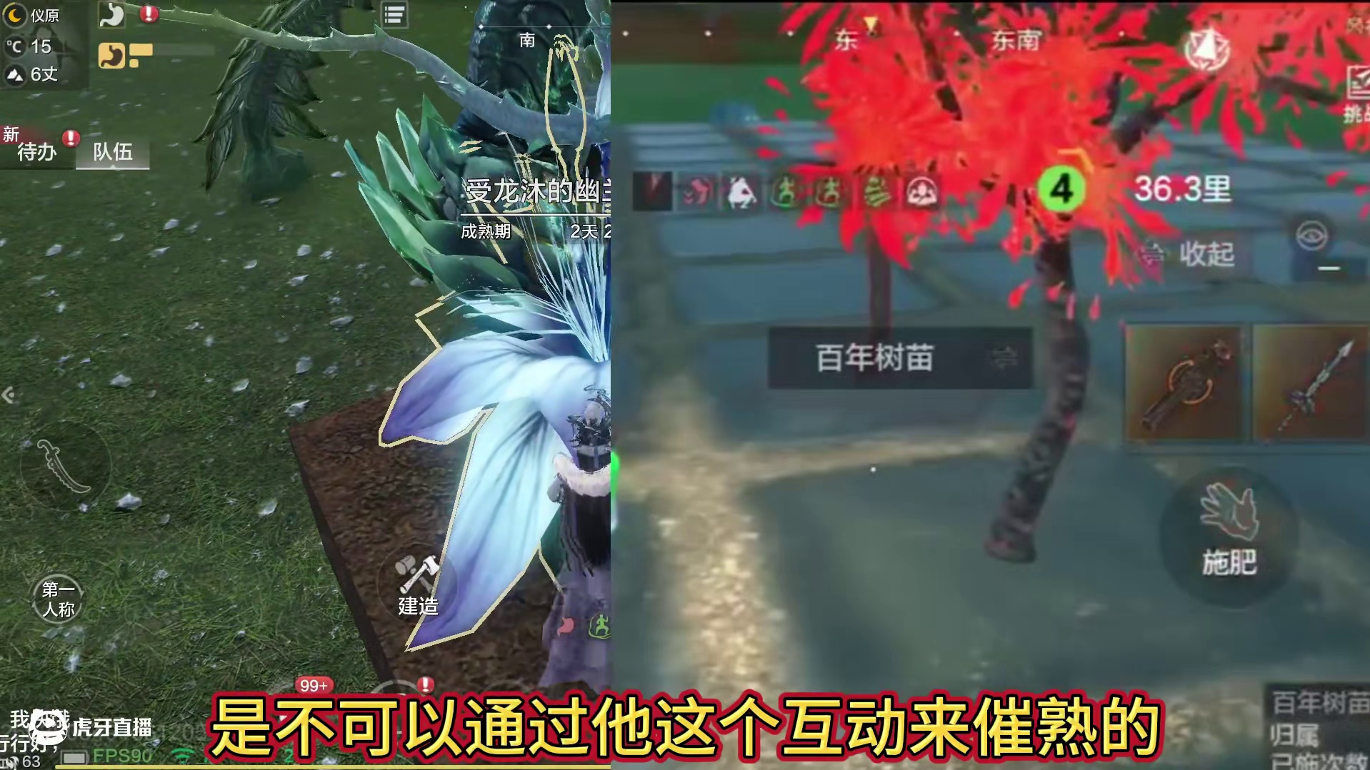 关于新进化宠蒲牢 各项问题疑惑解答 能否卡飞天/催熟百年树苗 摇钱树/被动是否对驮兽生效/互动水池测